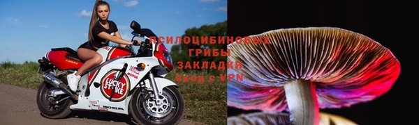 кокс Сосновый Бор