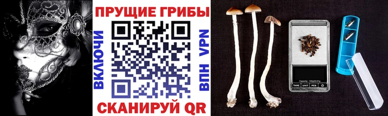 Галлюциногенные грибы прущие грибы  наркошоп  Белово 