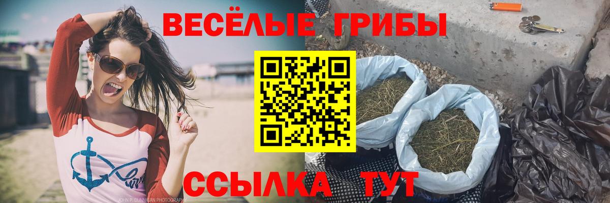 Псилоцибиновые грибы Cubensis  Вход с VPN  где продают наркотики  Псилоцибиновые грибы мухоморы  Белово 