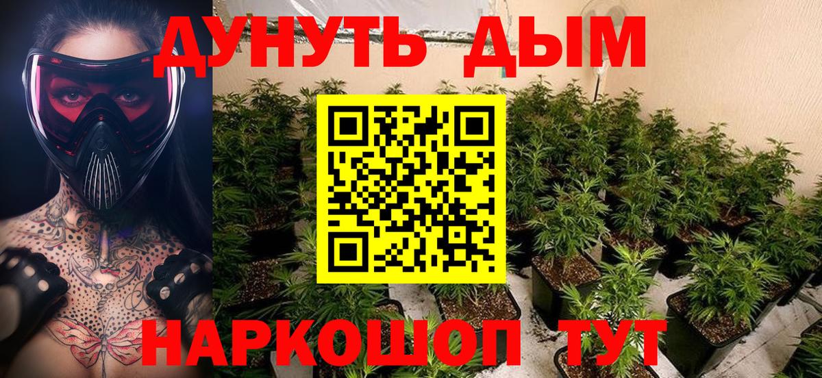 Конопля White Widow  Каннабис гибрид  Марихуана THC 21%  Белово  Вход с VPN 